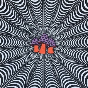 Meet your Posher, Gabbie